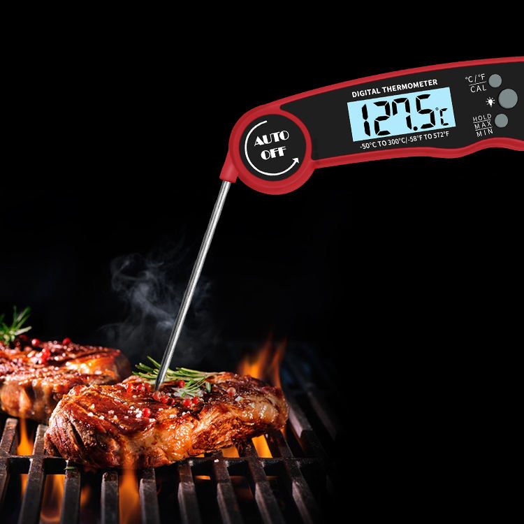 Instant Read Thermometers For Cooking